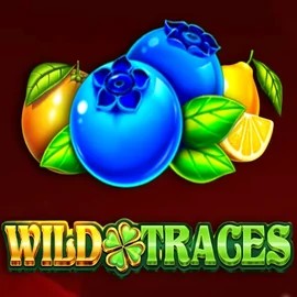 Wild Traces slot logo by Amusnet Interactive at Fast Slots Casino